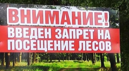 Юргамыш.Ru: Введён запрет на посещение лесов 